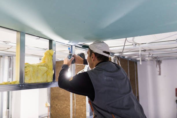 Best Insulation Maintenance and Repair in Rose Hill, KS