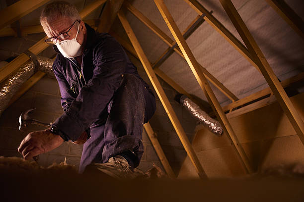 Best Commercial Insulation in Rose Hill, KS